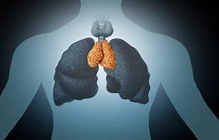 Stimulation de la glande thymus via des techniques holistiques avec un arbre de vie symbolisant la santé et l'harmonie.